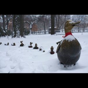 Meet your Posher, Julie